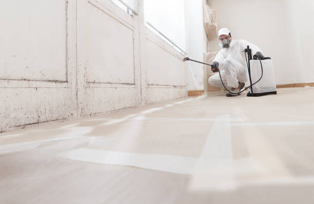 24/7 Emergency Mold Remediation experts in Mercer Island, WA