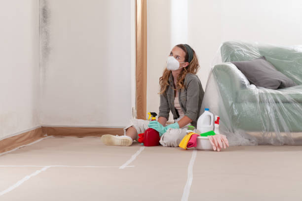 Reliable Mold Remediation contractor in Mercer Island, WA by Car Mold Remediation